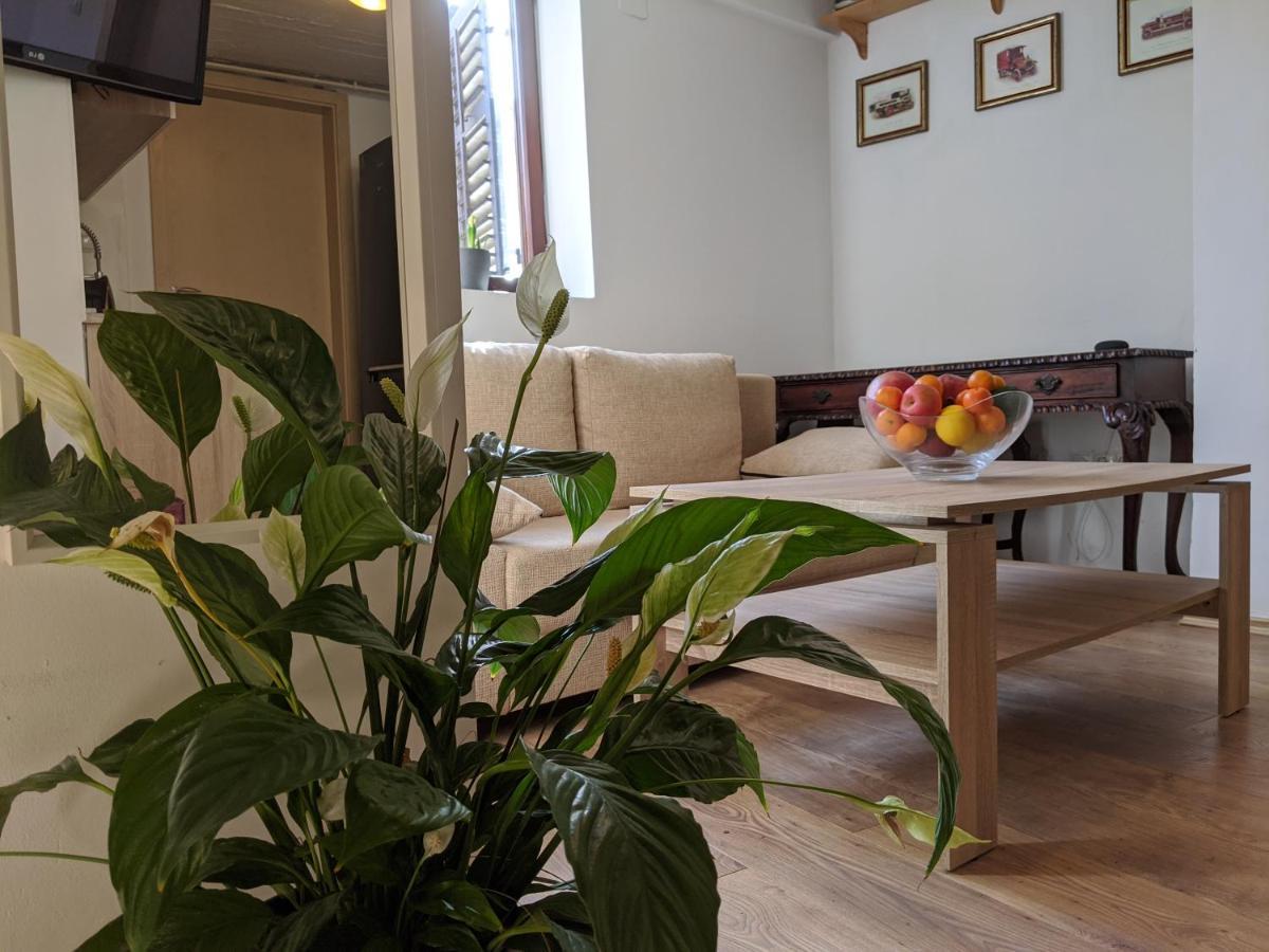 Twin-Magnolias Condo With Garden, Parking & Ev Station Zagreb Exteriör bild