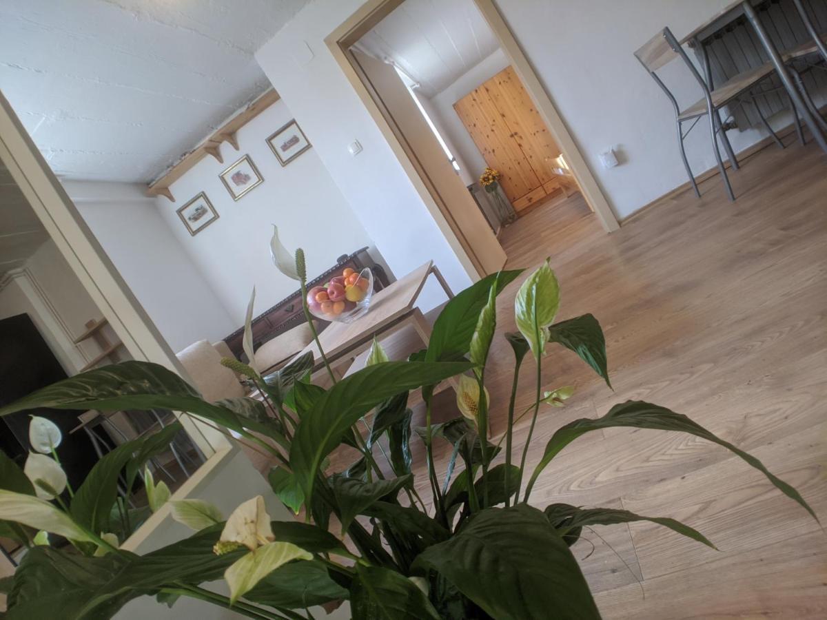 Twin-Magnolias Condo With Garden, Parking & Ev Station Zagreb Exteriör bild