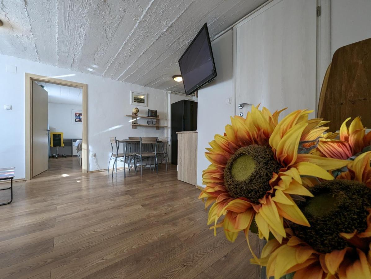 Twin-Magnolias Condo With Garden, Parking & Ev Station Zagreb Exteriör bild